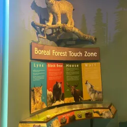 Kenai National Wildlife Refuge (nearby) - Ninilchik