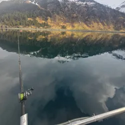 Kenai Peninsula Fishing Charters - Ninilchik