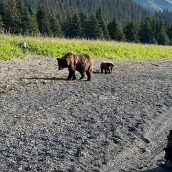 Kenai Peninsula Fishing Charters - Ninilchik