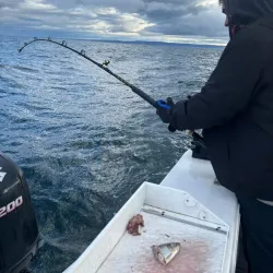 Kenai Peninsula Fishing Charters - Ninilchik