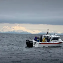 Kenai Peninsula Fishing Charters - Ninilchik