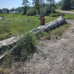 Ninilchik Glacier (nearby) - Ninilchik