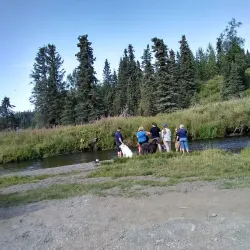 Ninilchik Glacier (nearby) - Ninilchik