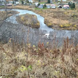 Ninilchik Glacier (nearby) - Ninilchik