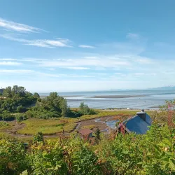 Russian Orthodox Church of the Holy Transfiguration - Ninilchik