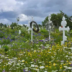 Russian Orthodox Church of the Holy Transfiguration - Ninilchik