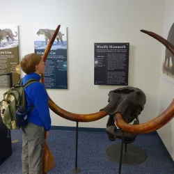 Bering Land Bridge National Preserve - Nome
