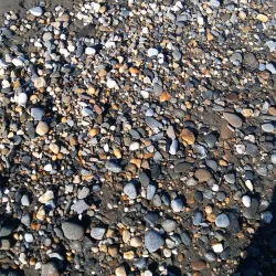 Iditarod Trail Finish Line - Nome