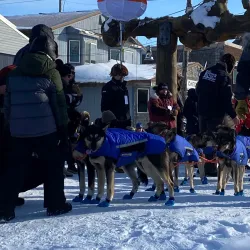 Iditarod Trail Finish Line - Nome