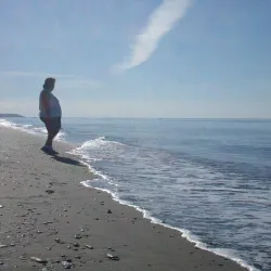 Iditarod Trail Finish Line - Nome