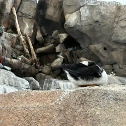 Alaska SeaLife Center - Seward