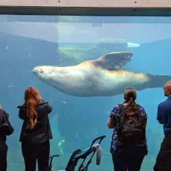 Alaska SeaLife Center - Seward