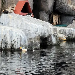 Alaska SeaLife Center - Seward