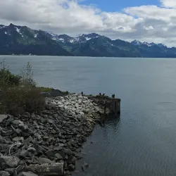 Alaska SeaLife Center - Seward
