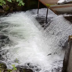 Bear Creek State Recreation Site - Seward