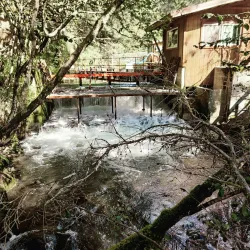 Bear Creek State Recreation Site - Seward