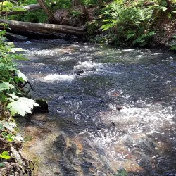 Bear Creek State Recreation Site - Seward
