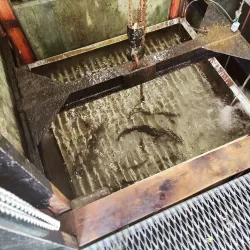 Bear Creek State Recreation Site - Seward