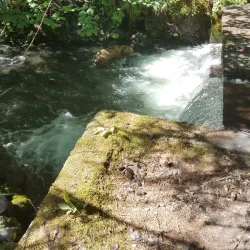 Bear Creek State Recreation Site - Seward