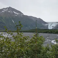 Exit Glacier - Seward
