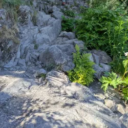 Harding Icefield Trail - Seward