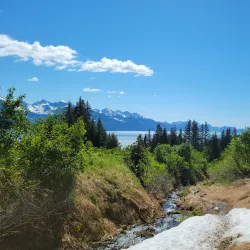 Mount Marathon - Seward