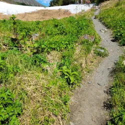 Mount Marathon - Seward