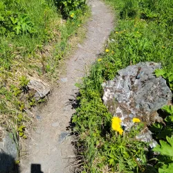 Mount Marathon - Seward