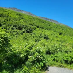 Mount Marathon - Seward