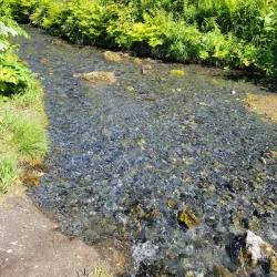 Mount Marathon - Seward