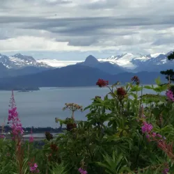 Resurrection Bay - Seward