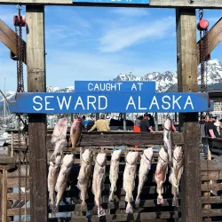 Seward Boat Harbor - Seward