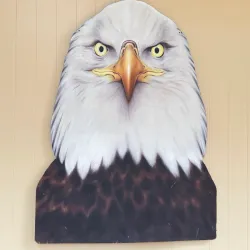 Alaska Raptor Center - Sitka