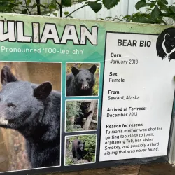 Fortress of the Bear - Sitka