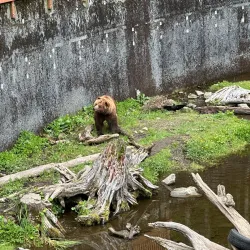 Fortress of the Bear - Sitka