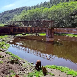 Fortress of the Bear - Sitka