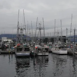 Sitka Farmers Market - Sitka