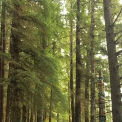 Sitka National Historical Park - Sitka