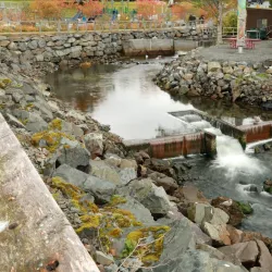 Sitka Sound Science Center - Sitka