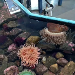 Sitka Sound Science Center - Sitka