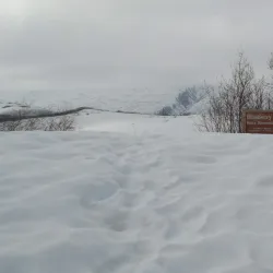 Blueberry Lake - Valdez