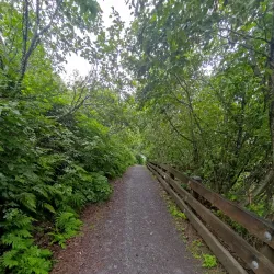 Eagle Trail - Valdez