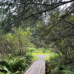 Eagle Trail - Valdez