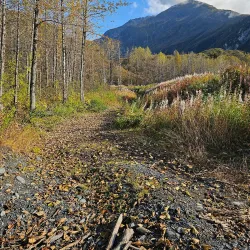 Mineral Creek Hot Springs - Valdez