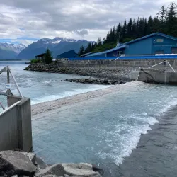 Valdez Fish Hatchery - Valdez