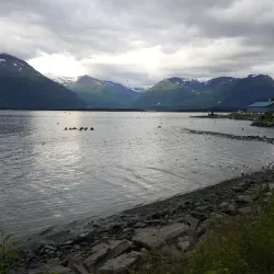 Valdez Fish Hatchery - Valdez