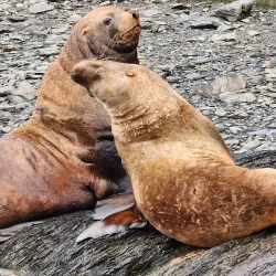 Valdez Fish Hatchery - Valdez