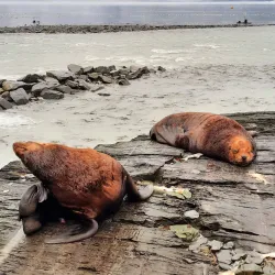 Valdez Fish Hatchery - Valdez