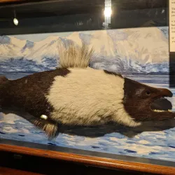 Valdez Museum & Historical Archive - Valdez