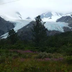 Worthington Glacier - Valdez